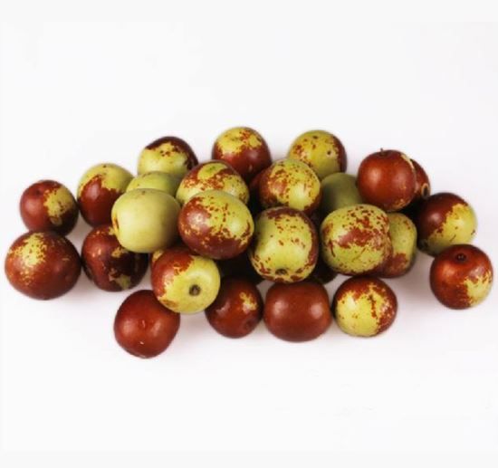 Winter Jujube (winterdate) from 중국 supplied by SIJI TRADING PTE. LTD - Green 말린 묏대추