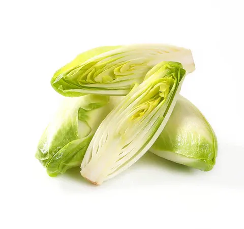 Chicory from 벨기에 supplied by DE SCHOUWER L. & CO - Green 치커리