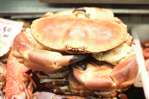 Crab from 영국 supplied by George Smith (Shellfish) Limited - Fresh (=Chilled=Raw) 신선 게