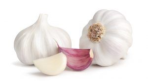 Garlic from 멕시코 supplied by Premium Fresh Growers, LLC - White 신선 마늘