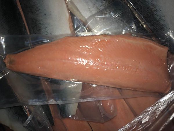 Frozen Salmon fillets from 우크라이나 supplied by Flagman Seafood LLC - Boneless (=Without Bone=Deboned) 연어