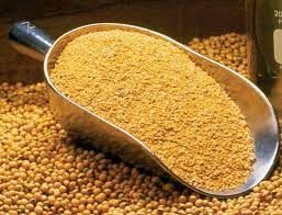 Soybean Meal from 미국 supplied by Big D Ranch - For Feed 대두박
