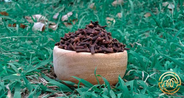 Clove from Indonesia supplied by Jaya Dewata Spices - Dried Whole Clove
