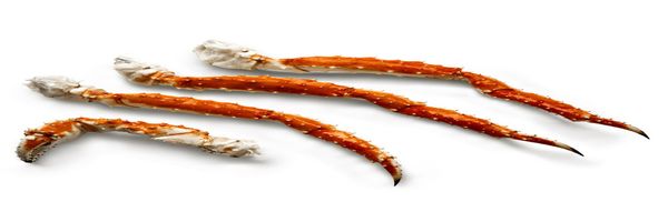 King crab - cooked - single legs and claws from 노르웨이 supplied by MATHIAS BJØRGE AS - Snow Crab - Alaska Snow crab (=Chionoecetes opilio=Opilio=Opies) 냉동 게