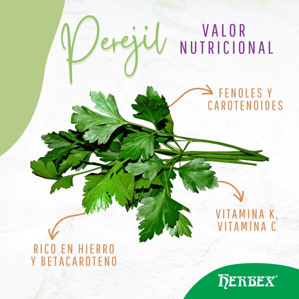 Fresh Parsley from 스페인 supplied by Herbex - Curly 파슬리
