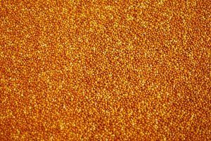 Millet from 폴란드 supplied by Firma Handlowa Rafpak - For Feed 밀레