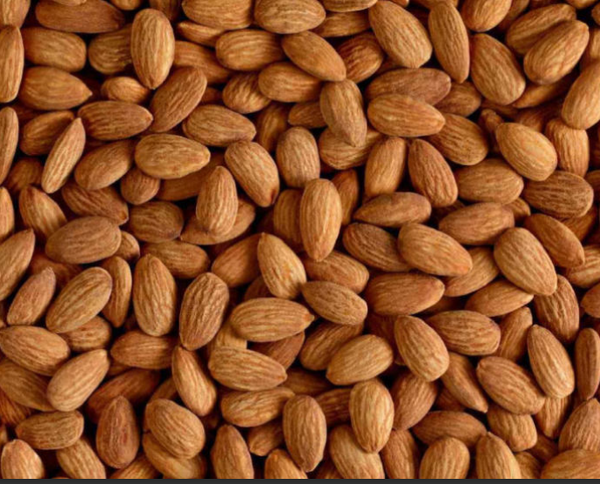 Almond from 독일 supplied by AMA Pistachios mbH - 갈색 아몬드 알맹이