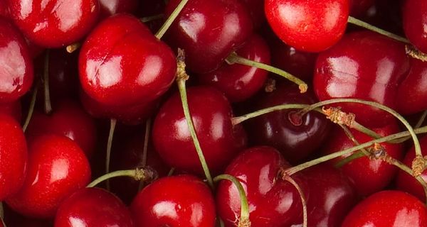 Fresh Whole Cherry from Greece supplied by AGRICULTURAL COOP. OF ZAGORA PILION - Dark Red Fresh Sweet Cherry