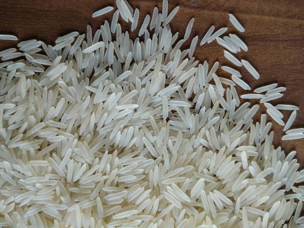 Rice from India supplied by SUNGOLD TRADE PVT LTD - White Glutinous Rice