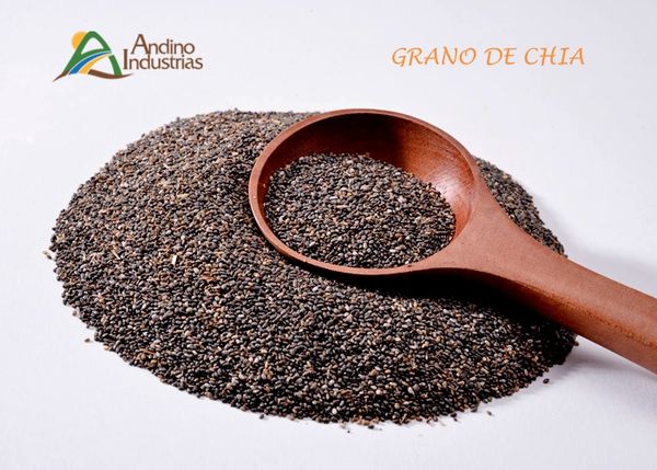 Chia from 페루 supplied by Andinoindustrias S.A.C. - Non-GMO 치아 씨