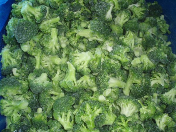Broccoli from 중국 supplied by Lianyungang Longda Fine Foods Co.,Ltd - 냉동 냉동 브로콜리
