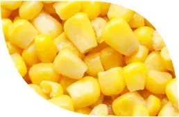 Corn from 폴란드 supplied by Masfrost Ziębice Sp. z o. o. - Frozen 옥수수