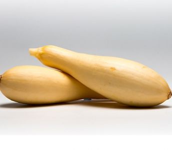 Squash from 미국 supplied by DIVINE FLAVOR - Yellow 스쿼시