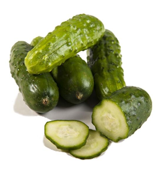 Cucumber from 이란 supplied by Vitarad Group Co. - Whole 신선 오이