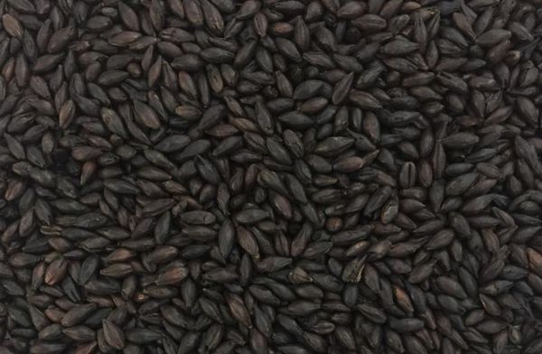 Barley from 미국 supplied by Malteurop - Roasted 보리