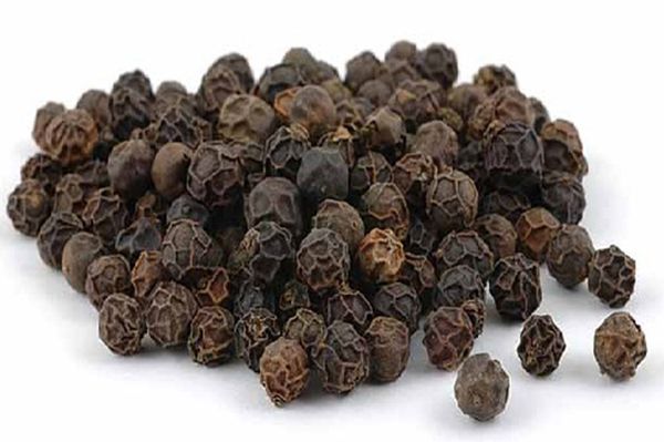 Black Pepper from 튀르키예 supplied by TERKA BAHARAT SIFALI BITKILER LTD - Black 흑후추 열매
