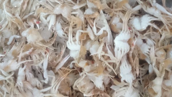 FROZEN BABY CRAB from 베트남 supplied by Viko Seafood Company Limited - 원물 냉동 게