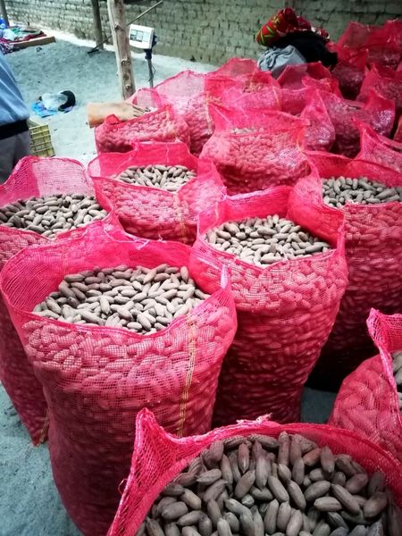 Pecans from Peru supplied by Peruvian Fresh Products - Whole Pecan Nut