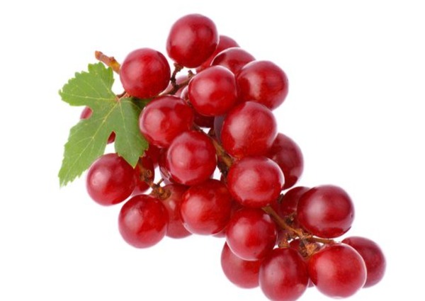 Grapes from 프랑스 supplied by Pulp fruits - Natural 신선 포도