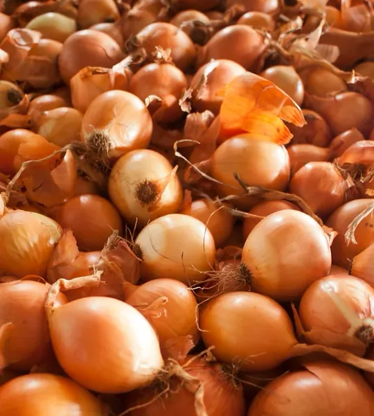 Onion from 호주 supplied by Virginia Farm Produce - Whole 신선 양파