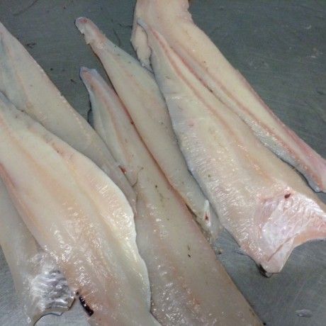 Halibut from United Kingdom supplied by Macmillan Foods - Fresh (=Chilled=Raw) Fresh Halibut