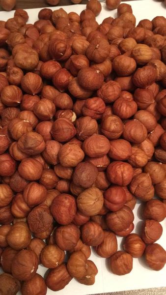 Natural Hazelnut Kernels from 아제르바이잔 supplied by Nutsoil LLC - High Quality 헤이즐넛 알맹이