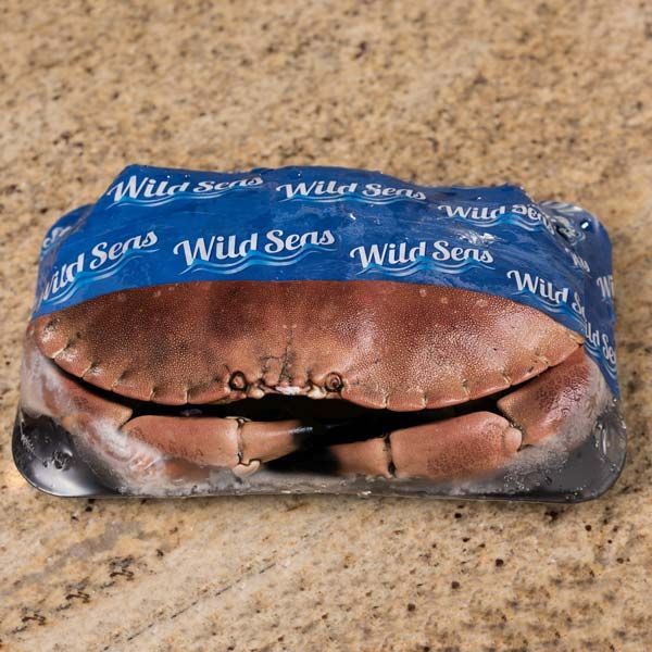 Brown Crab from United Kingdom supplied by AM Seafoods 2004 Ltd - Rock Crab - Edible Rock Crab (=Cancer pagurus=Edible Crab=Brown Crab) Fresh Crab