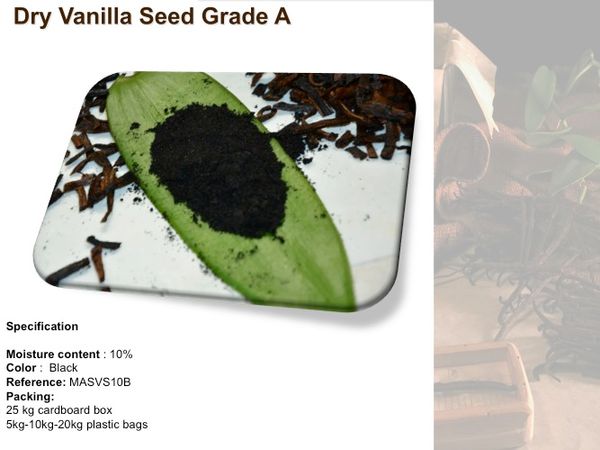 Madagascar vanilla seeds from United Kingdom supplied by MASPICESEU - Seed Vanilla