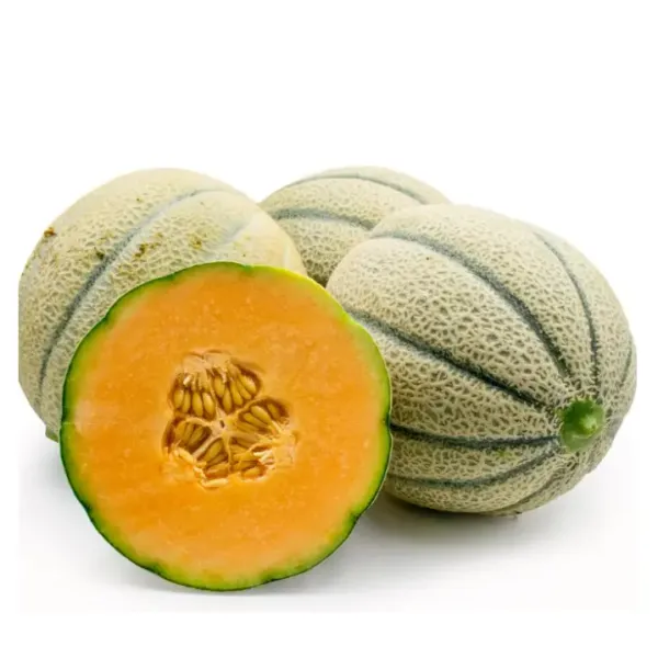 Wholesale Europe Round Stripe Sweet Hybrid F1 Melon seeds from China supplied by Hebei Shuangxing Seeds Co., Ltd. - Whole Melon Seed