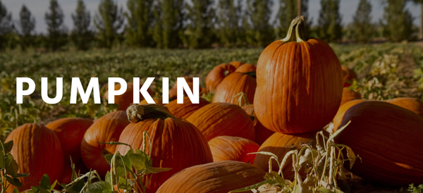 Pumpkin from Egypt supplied by El Shrouk for food industries - Orange Fresh Common Pumpkin