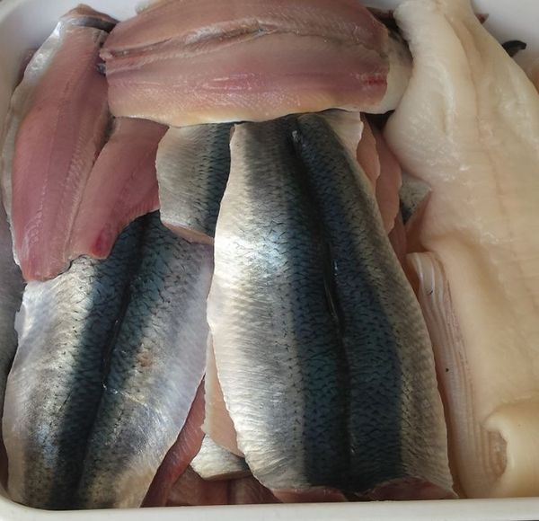Herring from United Kingdom supplied by James Dickson & Son - Skin On Herring