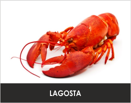 Fresh Lobster from 포르투갈 supplied by Nini Peixe, Lda. - Fresh (=Chilled=Raw) 신선 랍스터