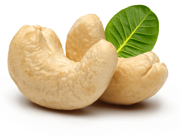 Cashew Nut from Ghana supplied by Usibras Ghana - Whole Cashew Nut Kernel