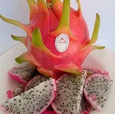 Dragon Fruit (Sand) from 스페인 supplied by Pitaber - White Flesh 신선 용과