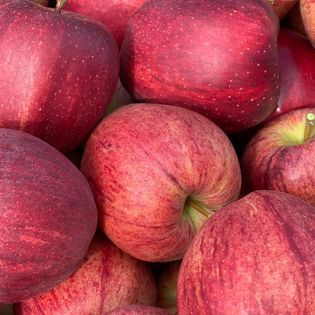 Apple from 영국 supplied by AC Goatham & Son Limited - Red Windsor 신선 사과