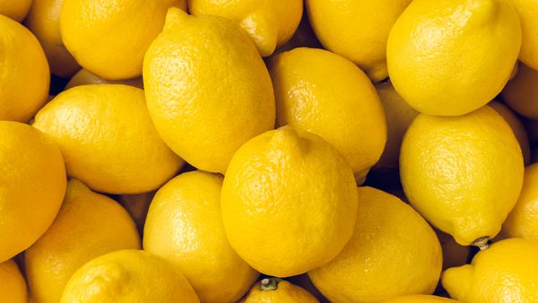 Lemon from 미국 supplied by ORGANIC PARTNERS INTERNATIONAL, LLC - Shelled (=Kernel) 신선 레몬