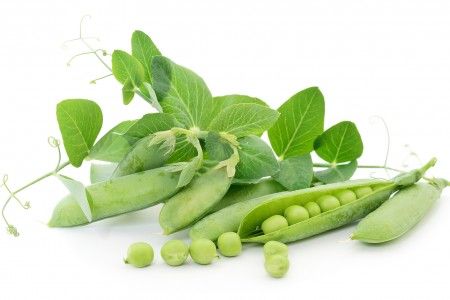 Peas from Belgium supplied by Star Fruit Company - BE - Green Value Added Peas
