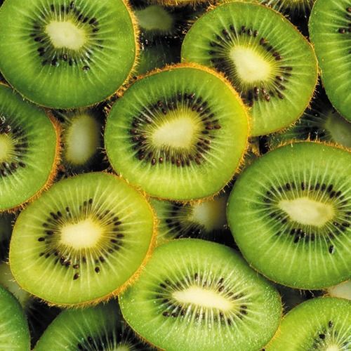 Kiwi (fresh) from Chile supplied by Exportadora del SUR SA - Green Fresh Kiwifruit