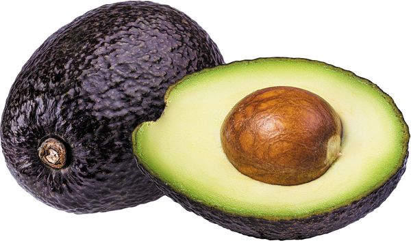 Avocado from 미국 supplied by Pan-Hellenic Food of NY Corp - Whole 신선 아보카도