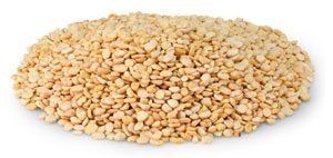 Dried Broad Bean from 미국 supplied by Tarazi Specialty Foods - Shelled (=Kernel) 말린 브로드빈