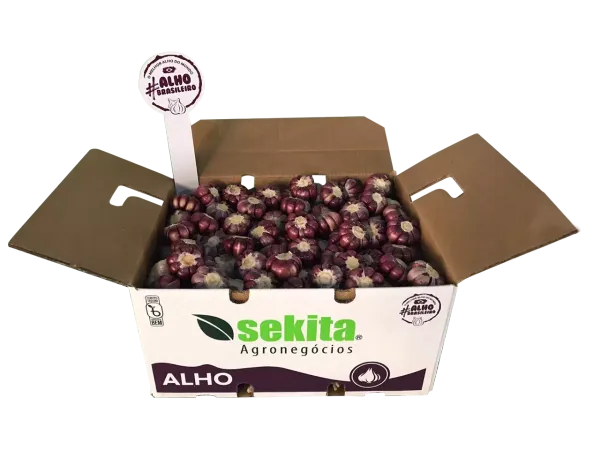 Garlic from Brazil supplied by Sekita Agronegócios - Purple Fresh Garlic