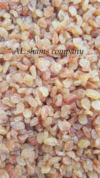 raisins from 이집트 supplied by Al Shams company for general import and export - A 건포도