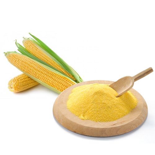 Corn Flour from 포르투갈 supplied by Dacsa Atlantic - Yellow 옥수수가루