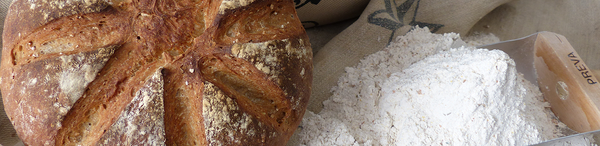 baking flours from 스위스 supplied by Fischer Mill AG - White 기타 분말상품