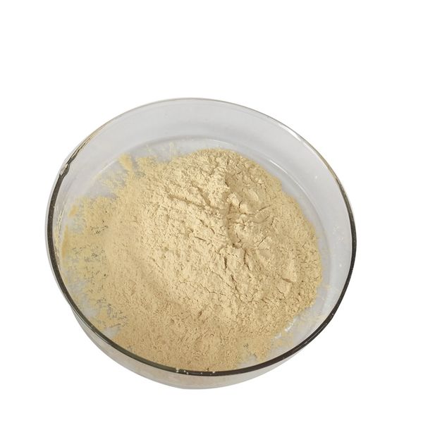 Rennet Casein from United Kingdom supplied by Dairygold Food Ingredients UK Ltd - Rennet Casein