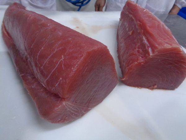 Tuna from 미국 supplied by Ocean Gold Seafoods, Inc - Frozen - IQF 참치
