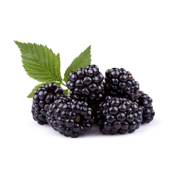 Fresh Blackberry from 멕시코 supplied by Hortifrut-Aba, S.A. de C.V. (Hortifruit Mexico) - Concentrate 신선 블랙베리