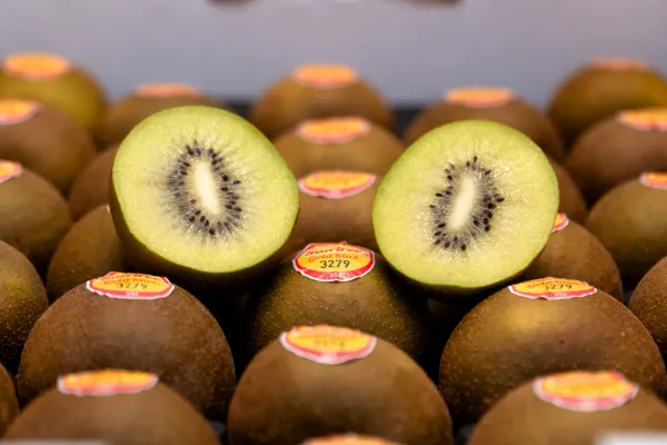 California Gold Golden Kiwi from 미국 supplied by The Flavor Tree Fruit Company, LLC - 캘리포니아 골드키위 신선 키위