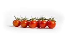 Cherry Tomato from Netherlands supplied by Versland Selection Bv - Red Fresh Tomato