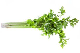 Celery from Israel supplied by Aleh Habayta - Leaf Fresh Celery